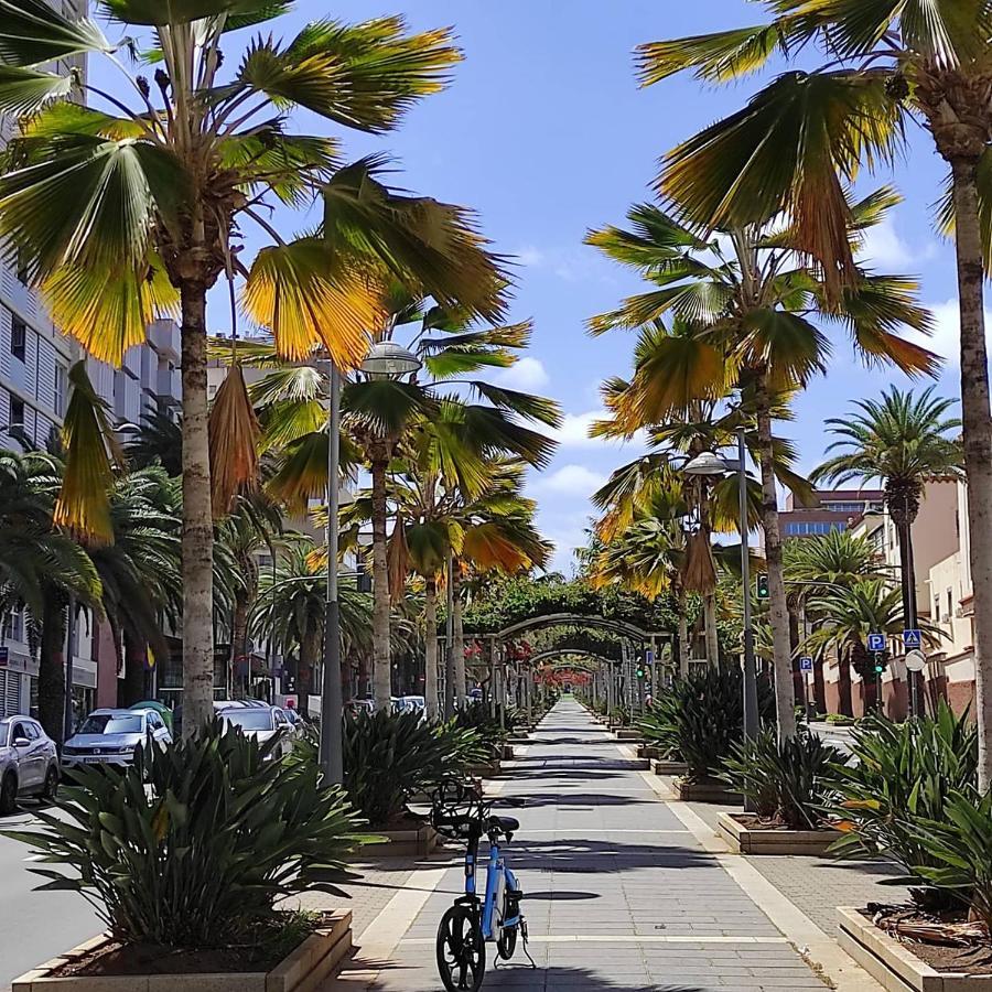 Apartamento Bien Situado - Buenas Conexiones Santa Cruz de Tenerife Eksteriør billede