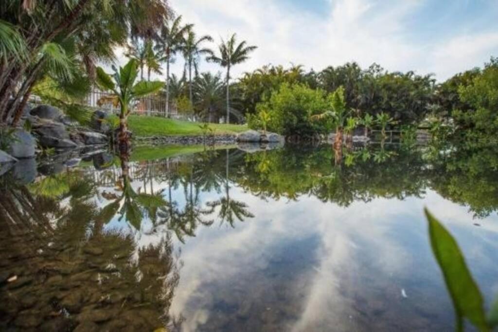 Apartamento Bien Situado - Buenas Conexiones Santa Cruz de Tenerife Eksteriør billede