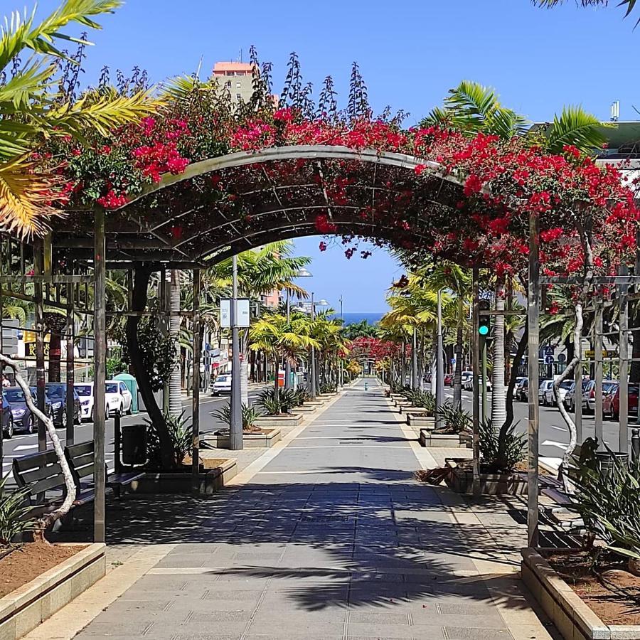 Apartamento Bien Situado - Buenas Conexiones Santa Cruz de Tenerife Eksteriør billede